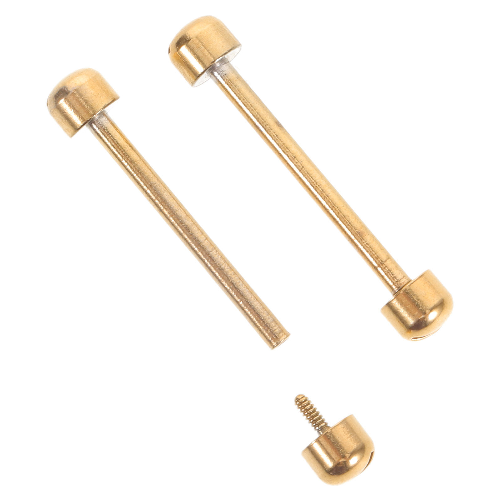 2 pezzi di perni a vite per ci - Watch Strap Replacement recensione e prezzo